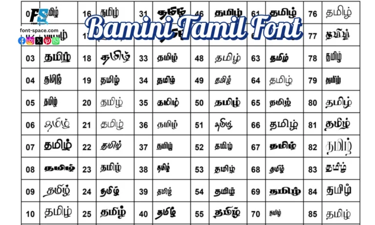 Bamini Tamil Font: A Complete Guide